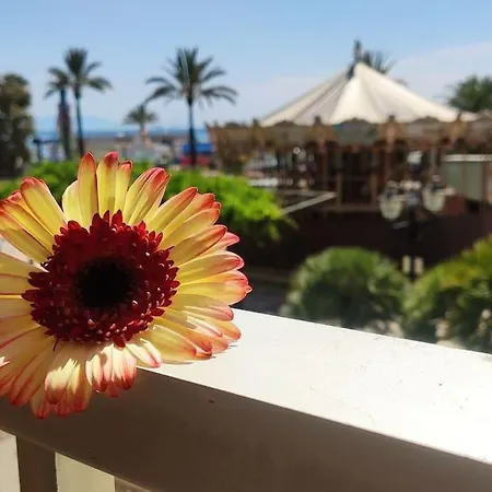 Paraiso דירה *